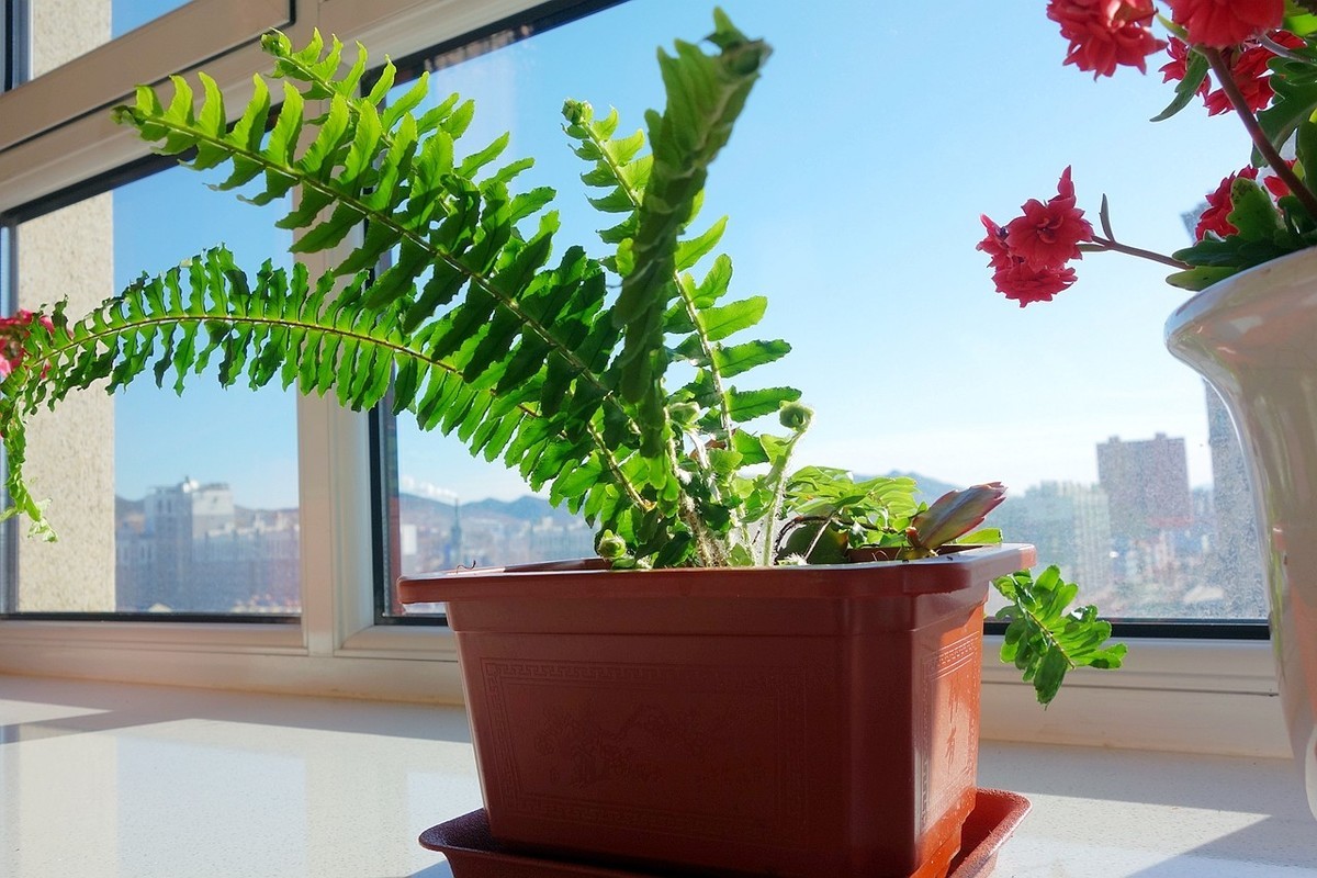 杂拍一组，黑卡拥有八年整。