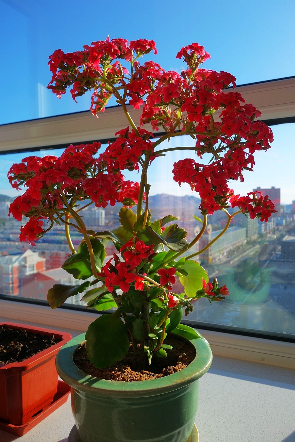 杂拍一组，黑卡拥有八年整。