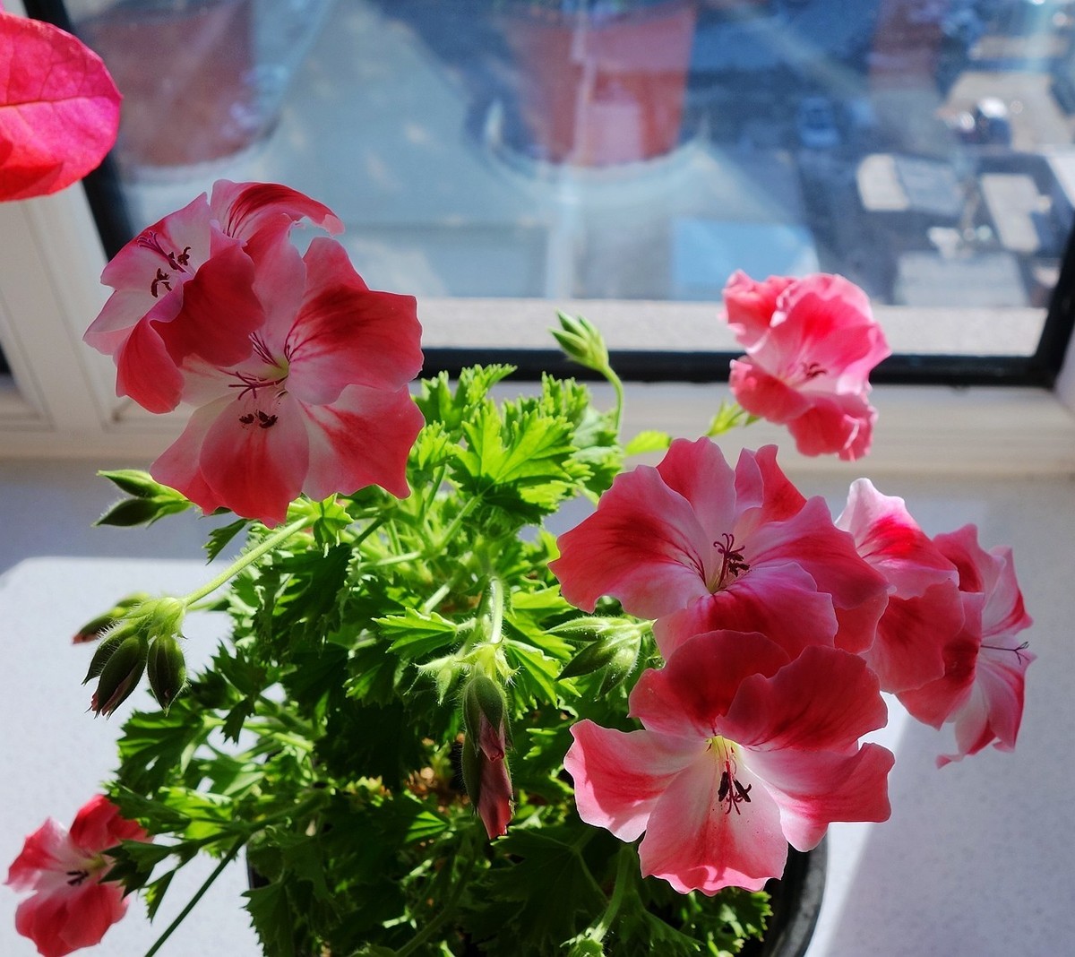 杂拍一组，黑卡拥有八年整。