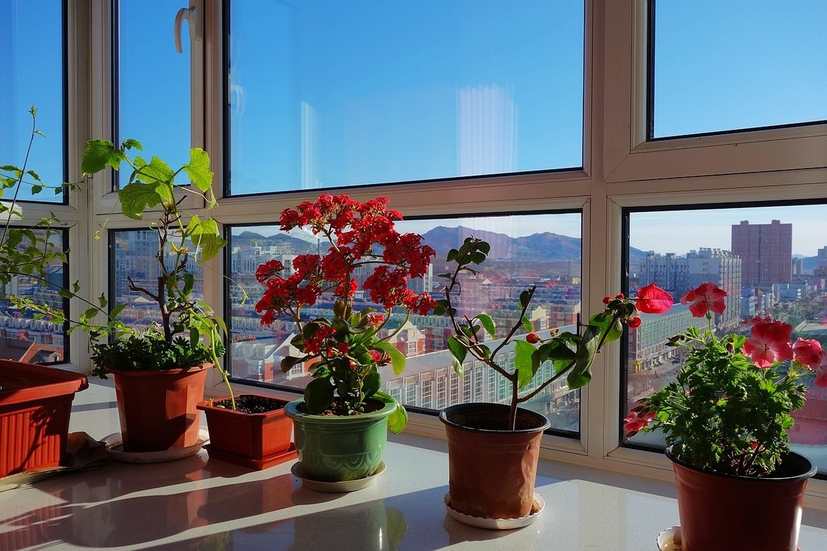 杂拍一组，黑卡拥有八年整。