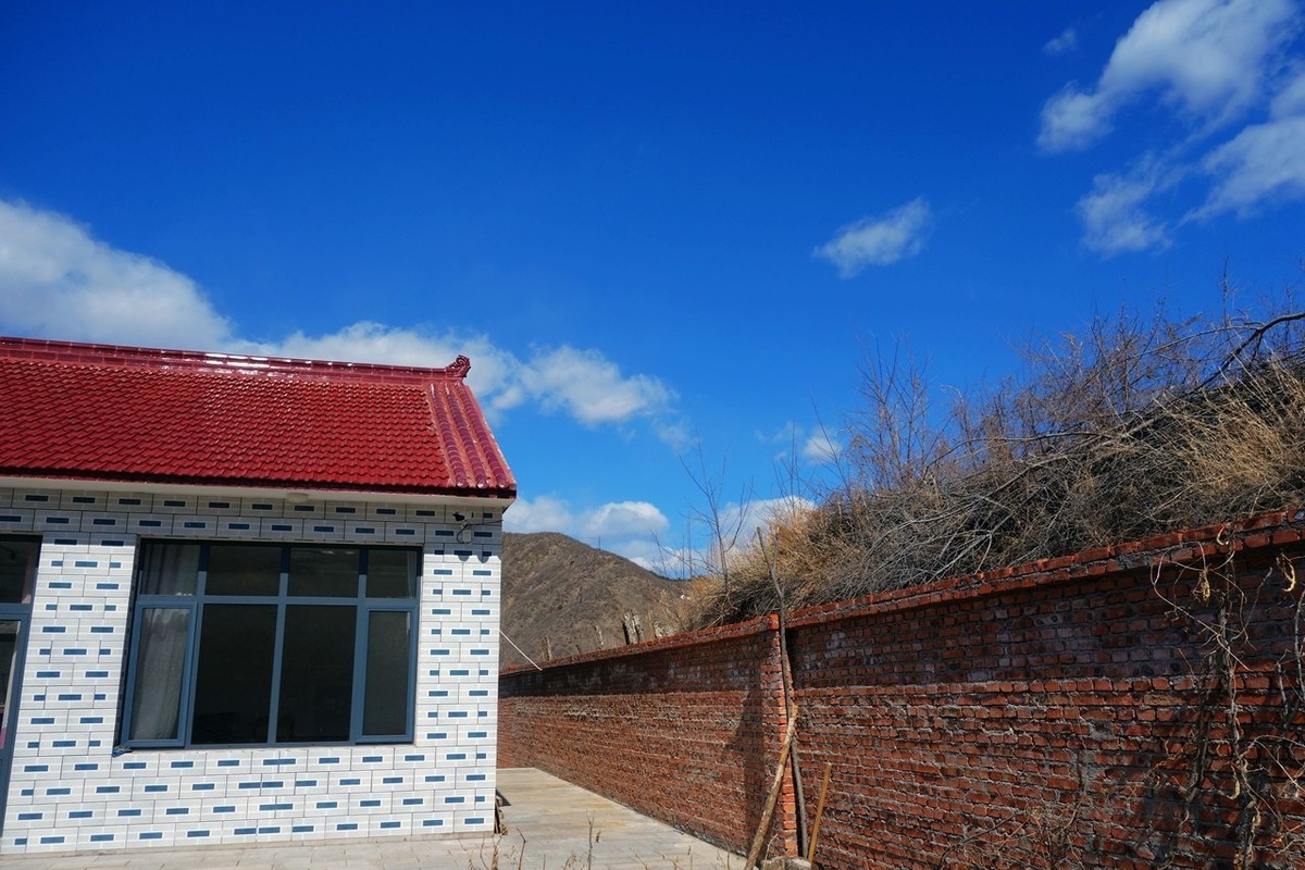 杂拍一组，黑卡拥有八年整。