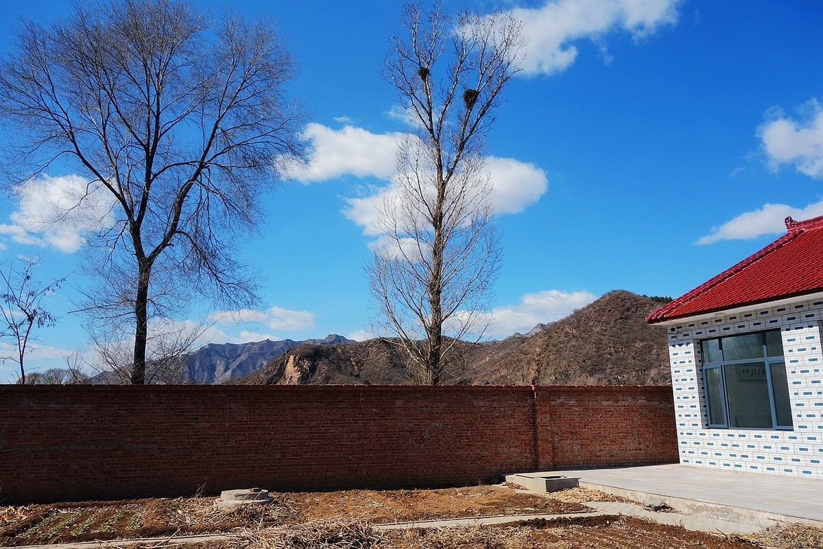 杂拍一组，黑卡拥有八年整。