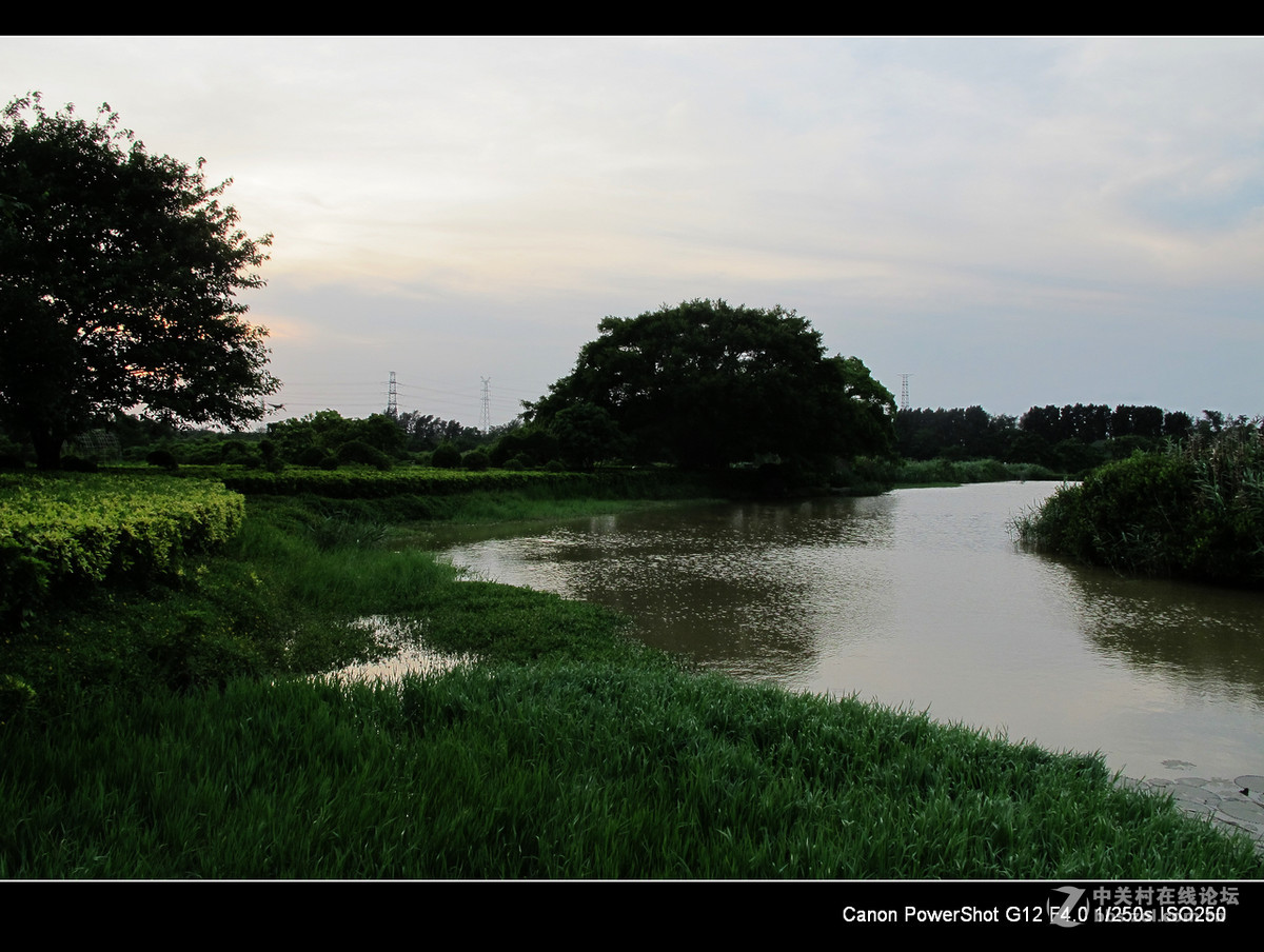 深圳宝安海上田园外围随拍。
