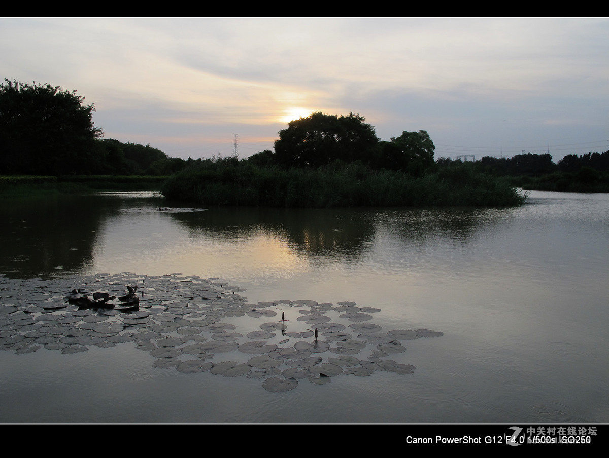 深圳宝安海上田园外围随拍。
