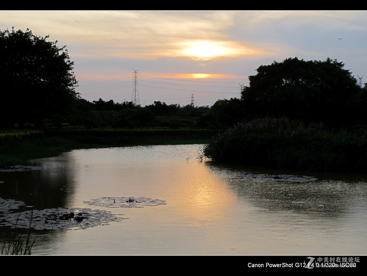 深圳宝安海上田园外围随拍。