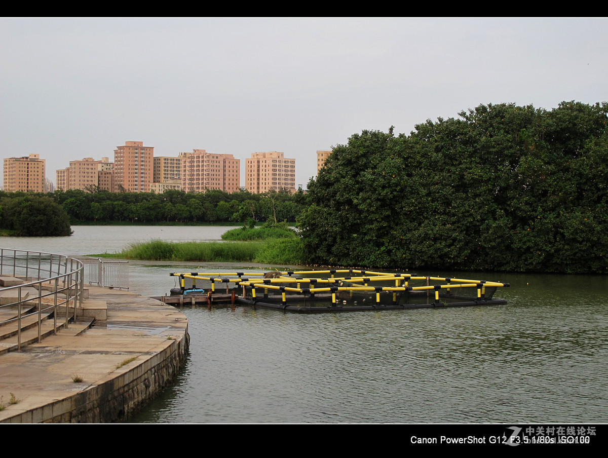 深圳宝安海上田园外围随拍。