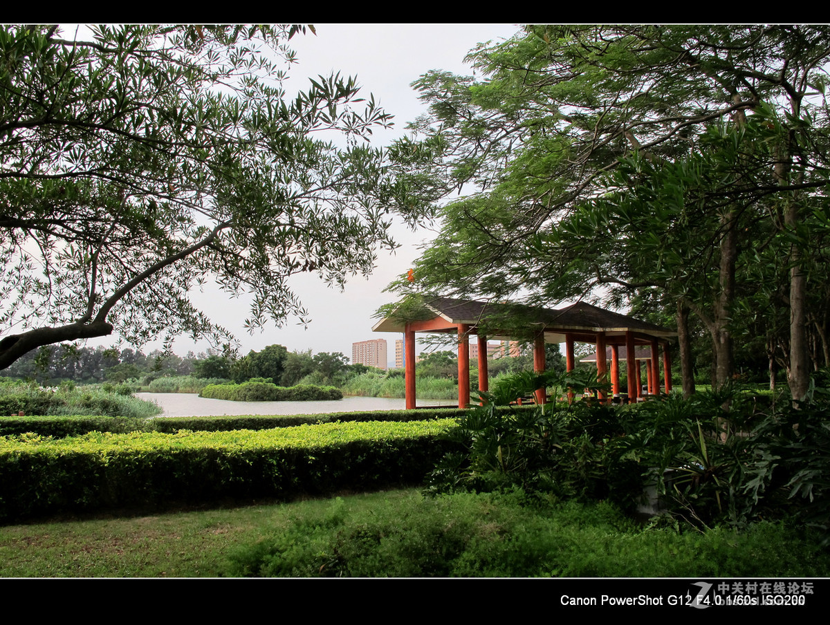 深圳宝安海上田园外围随拍。