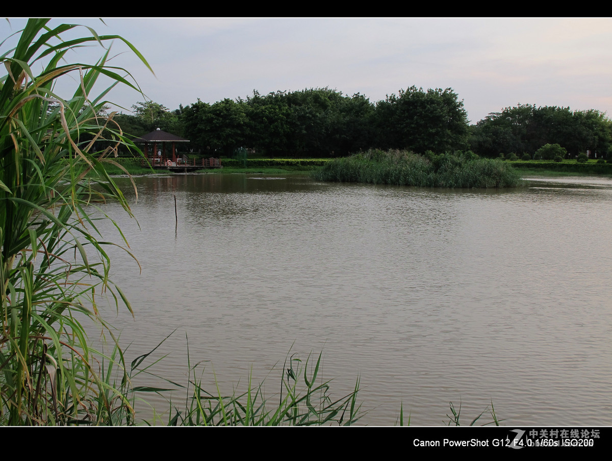 深圳宝安海上田园外围随拍。