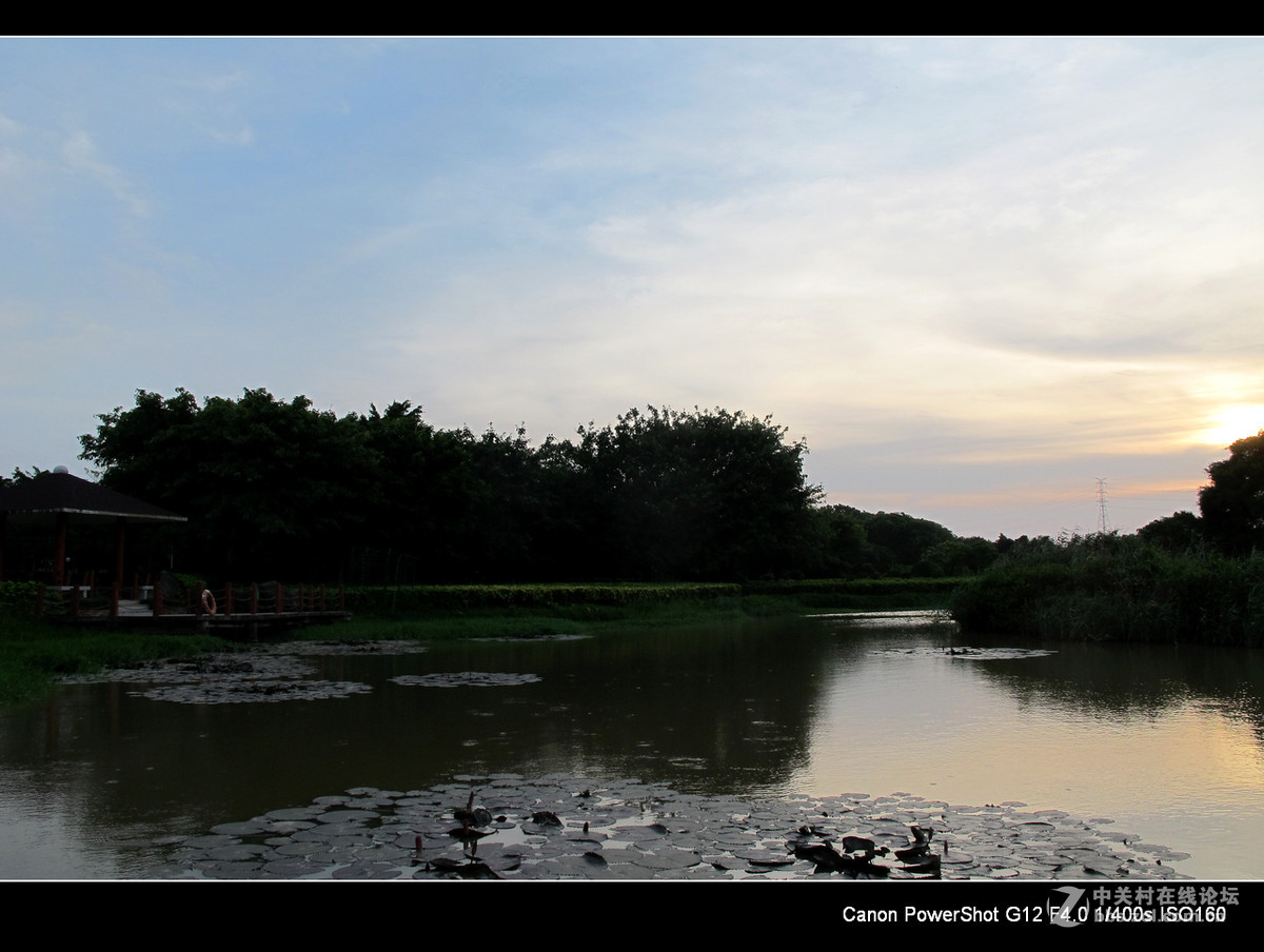深圳宝安海上田园外围随拍。