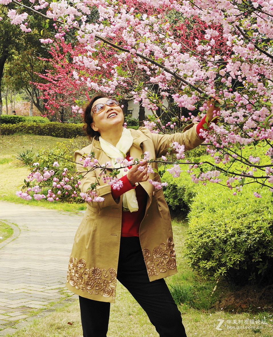 把这些放在这里不会丢失的吧！