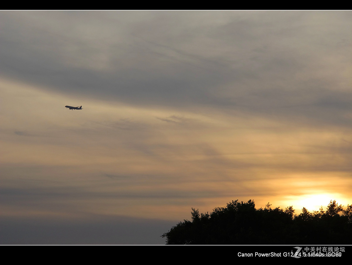 深圳宝安海上田园外围随拍。