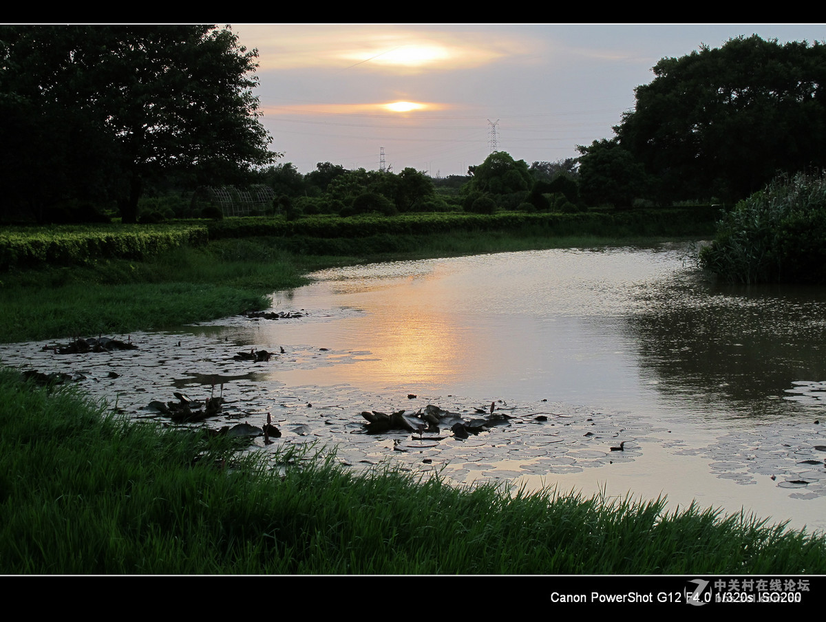 深圳宝安海上田园外围随拍。