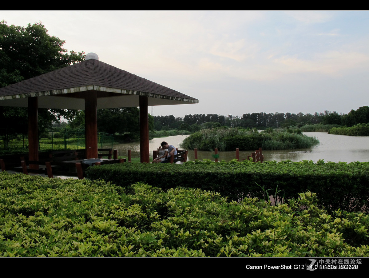 深圳宝安海上田园外围随拍。