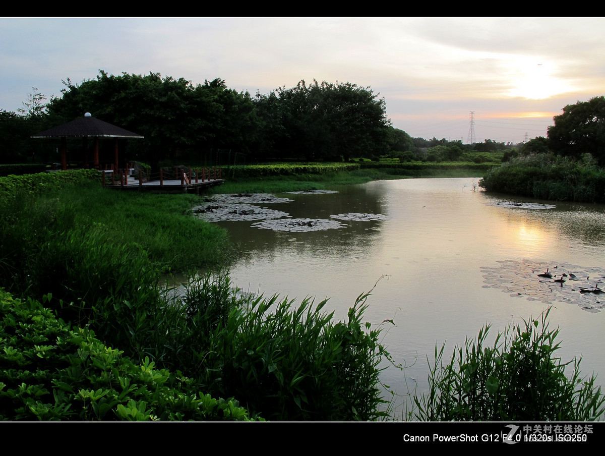 深圳宝安海上田园外围随拍。