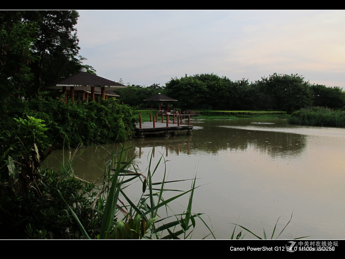 深圳宝安海上田园外围随拍。