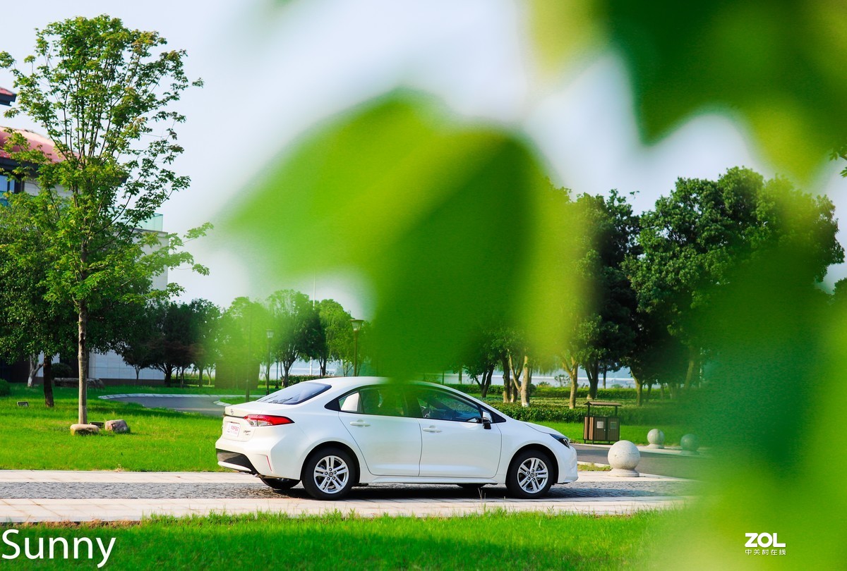 第一次拍车【新雷凌】