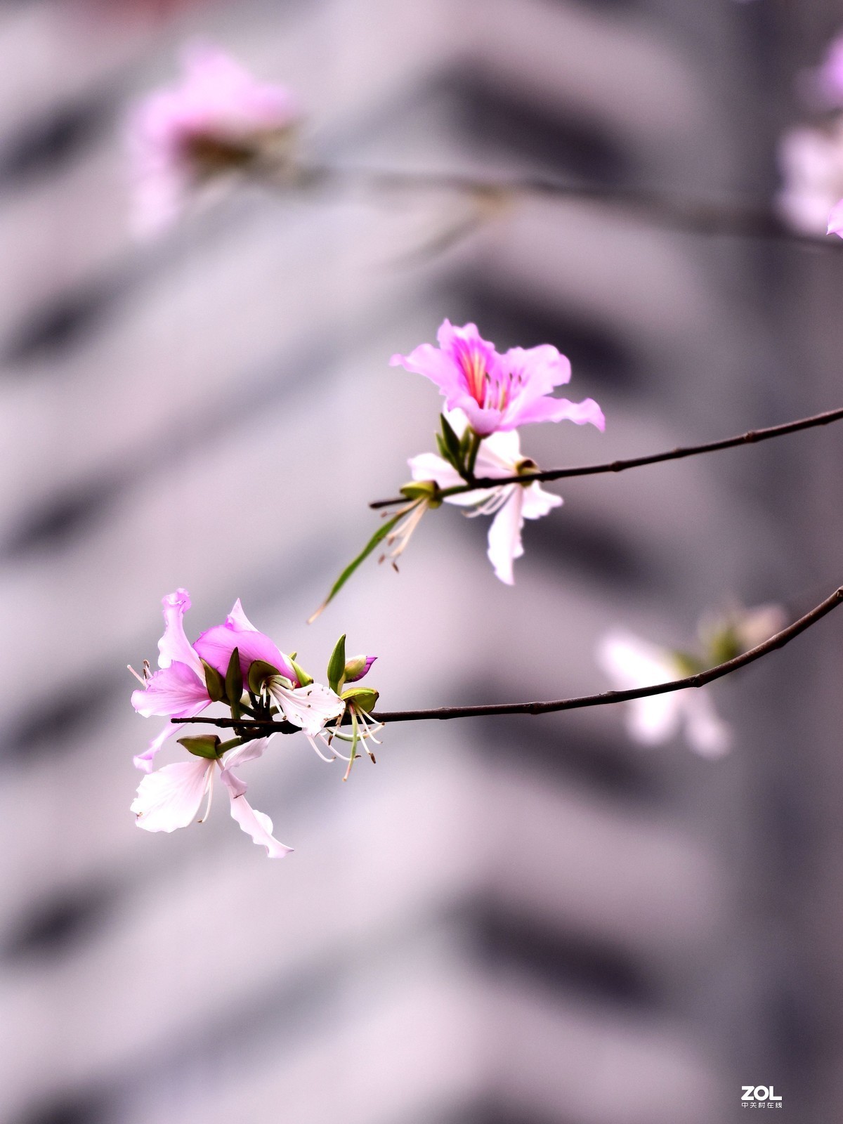 春暖花开