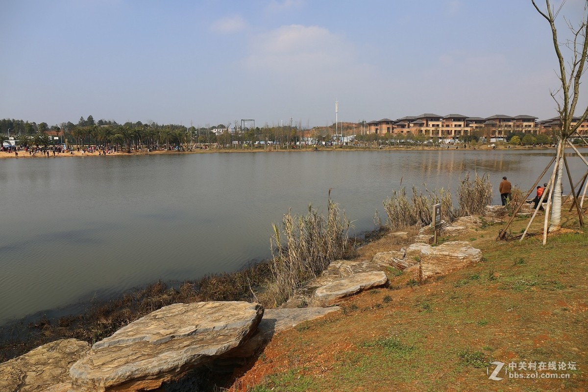 万丰湖湿地公园---2