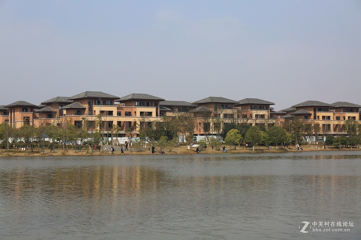 万丰湖湿地公园---2