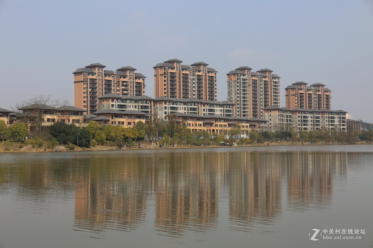 万丰湖湿地公园---2