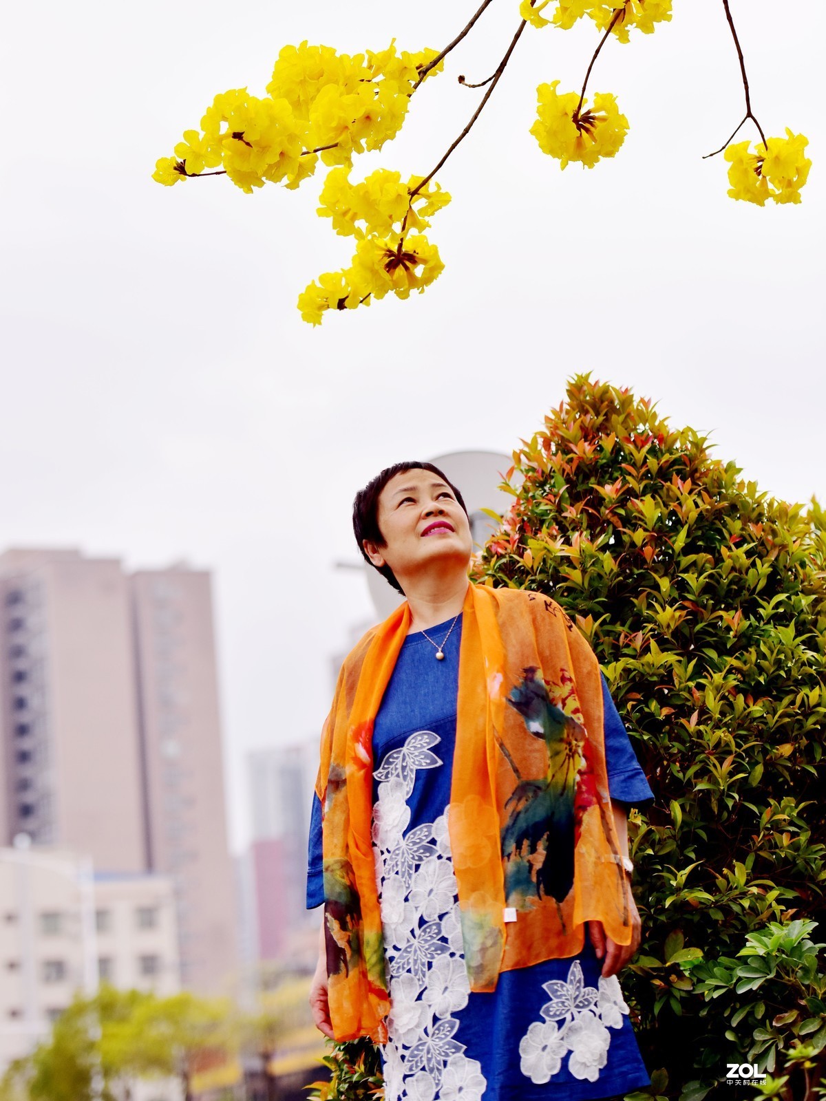 赏花季节