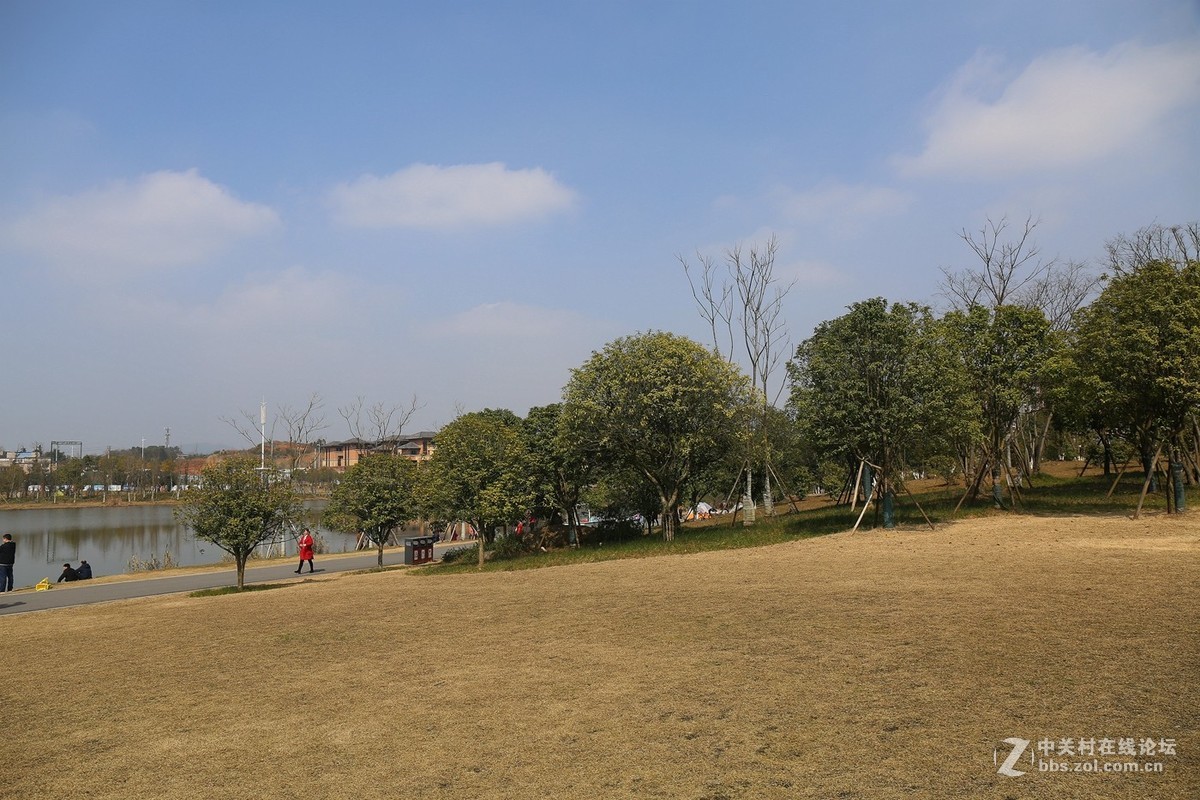 万丰湖湿地公园---2