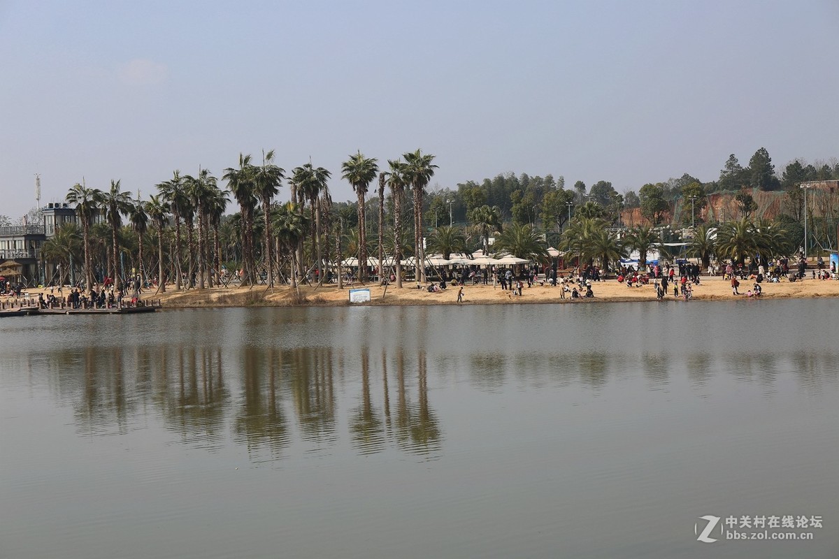 万丰湖湿地公园---2