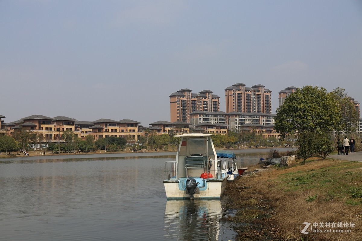 万丰湖湿地公园---2