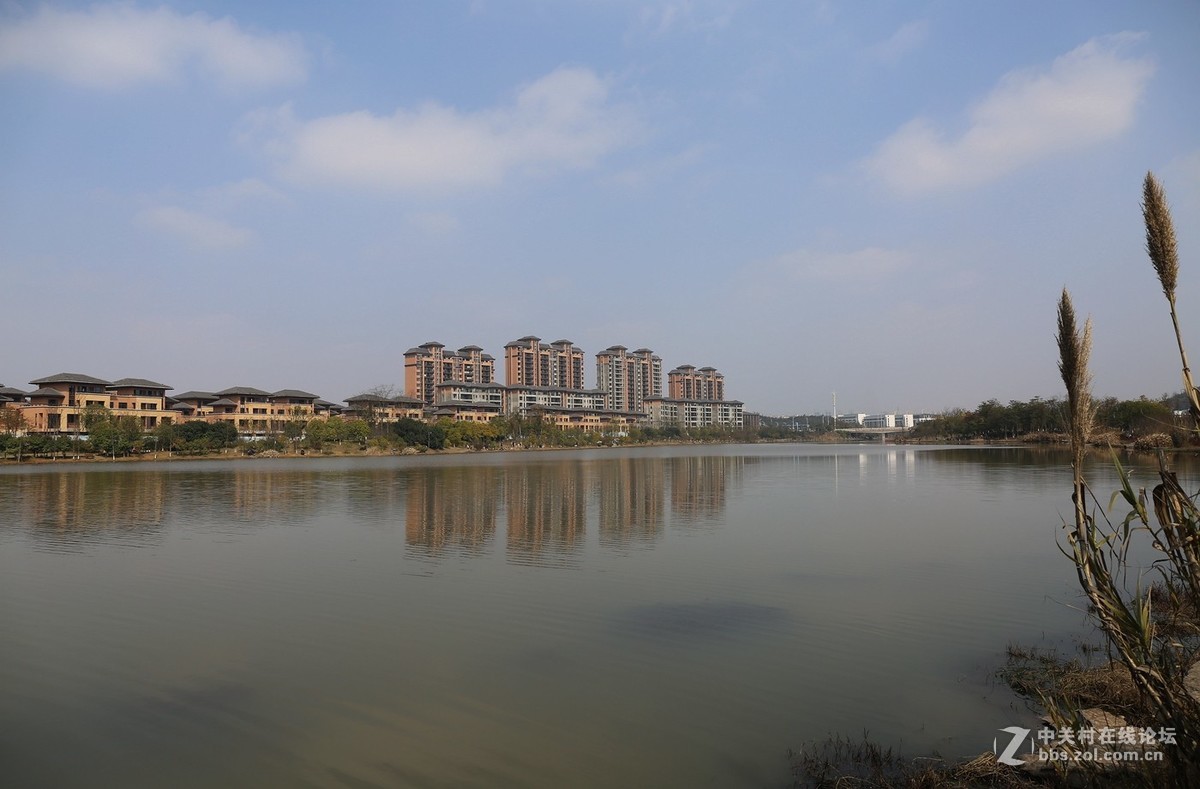 万丰湖湿地公园---2