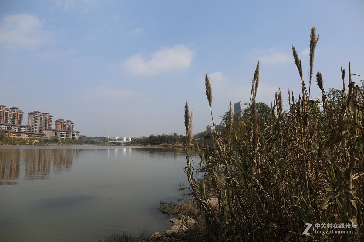 万丰湖湿地公园---2