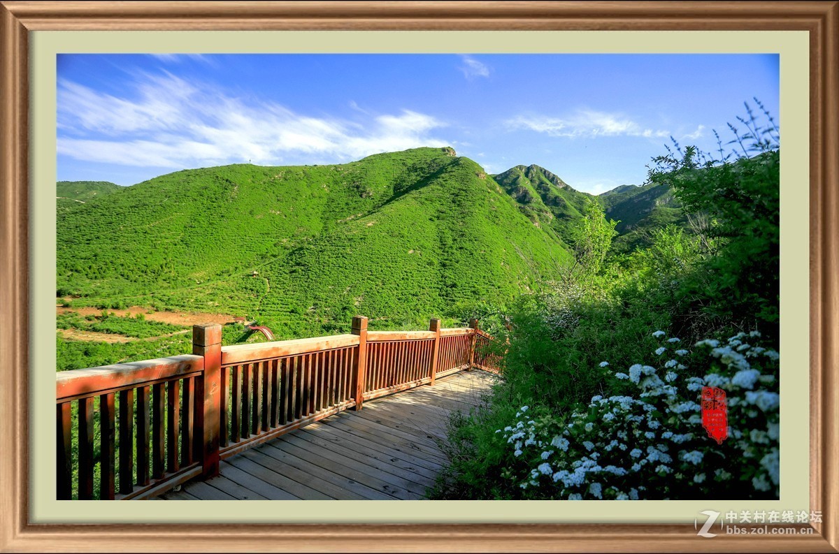 ＜初夏的浅山＞