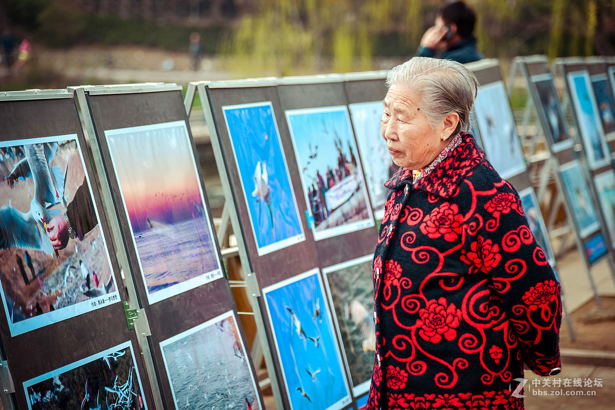 中山公园海鸥影展首日花絮