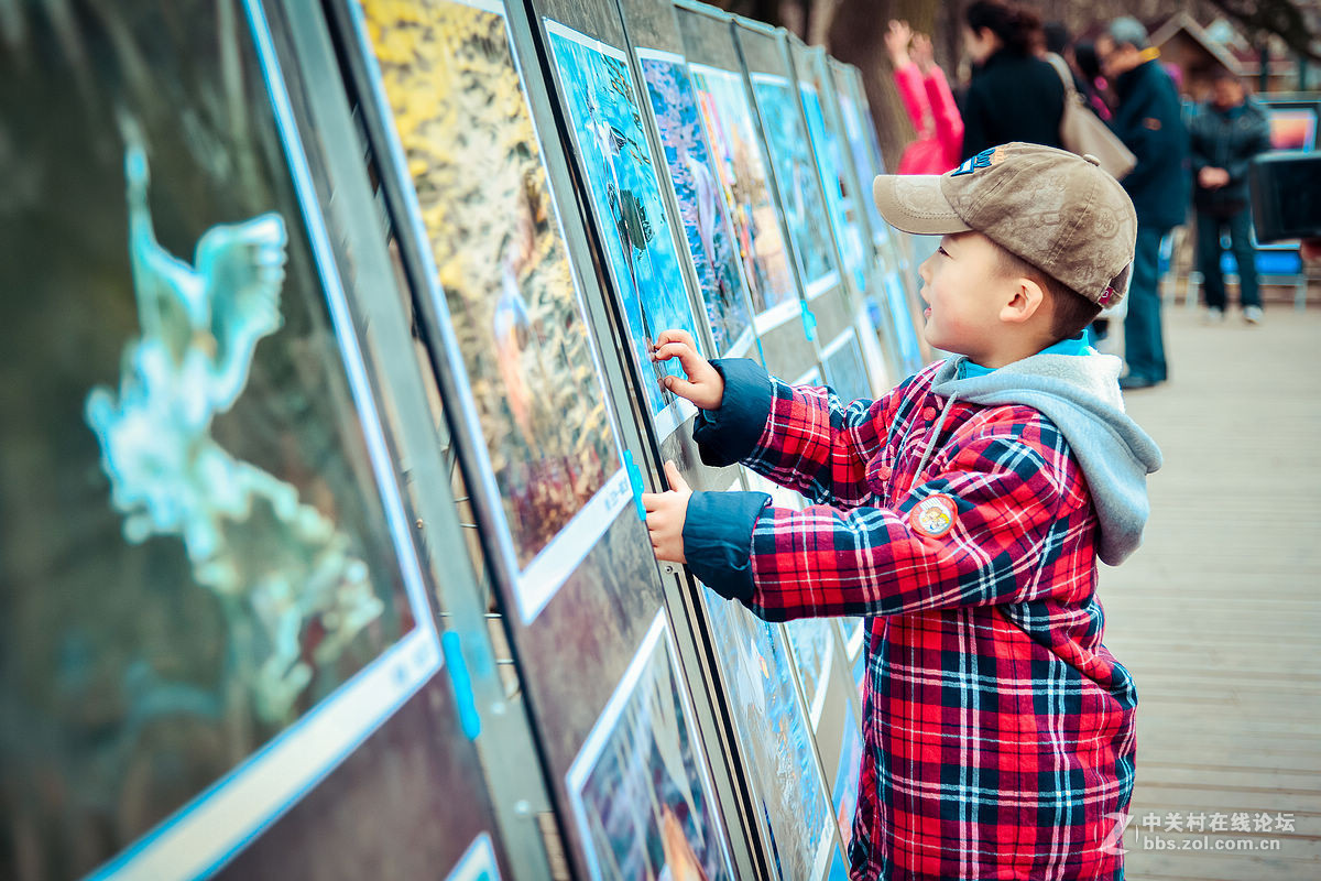 中山公园海鸥影展首日花絮