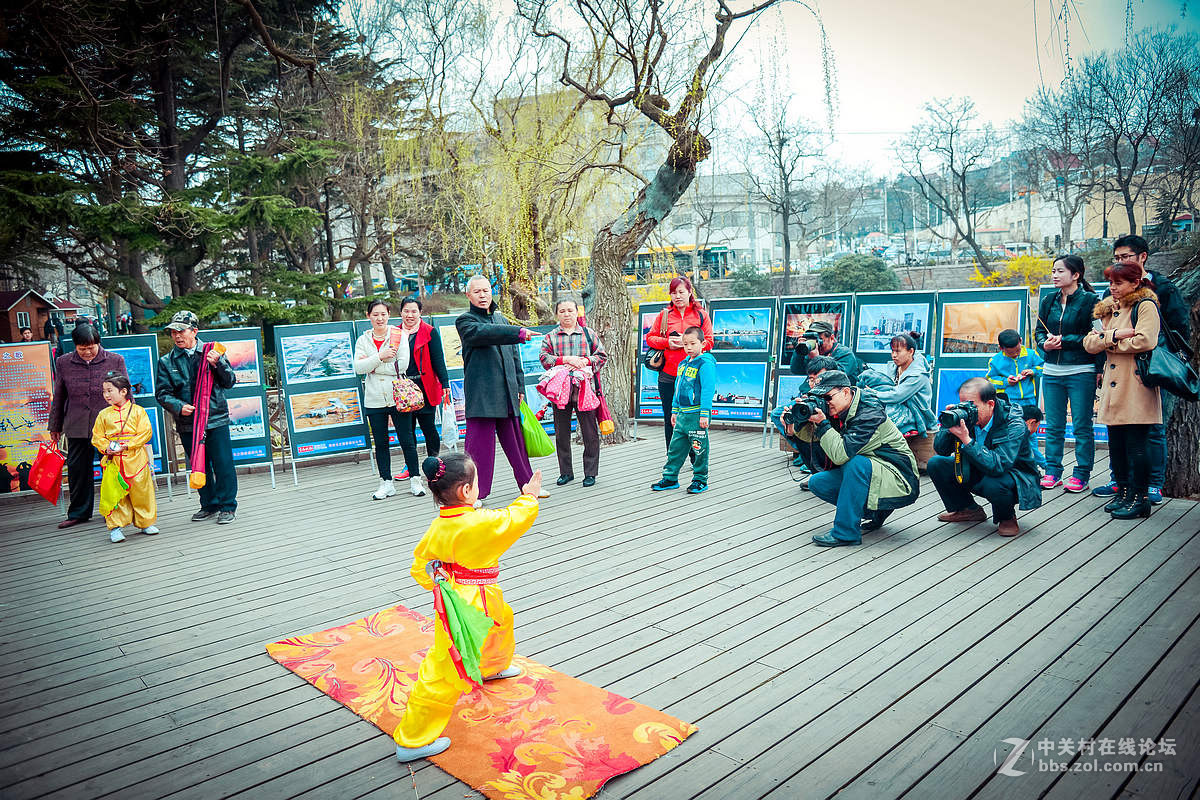 中山公园海鸥影展首日花絮