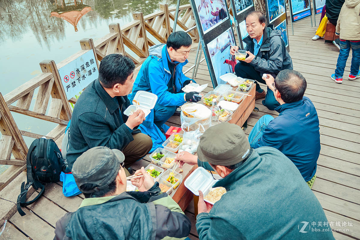 中山公园海鸥影展首日花絮