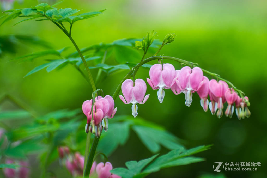 #版主坐堂# [尼康D7100星空(中国)] 2015年5月份优秀精华作品总汇