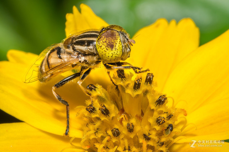 #版主坐堂# [尼康D7100星空(中国)] 2015年5月份优秀精华作品总汇