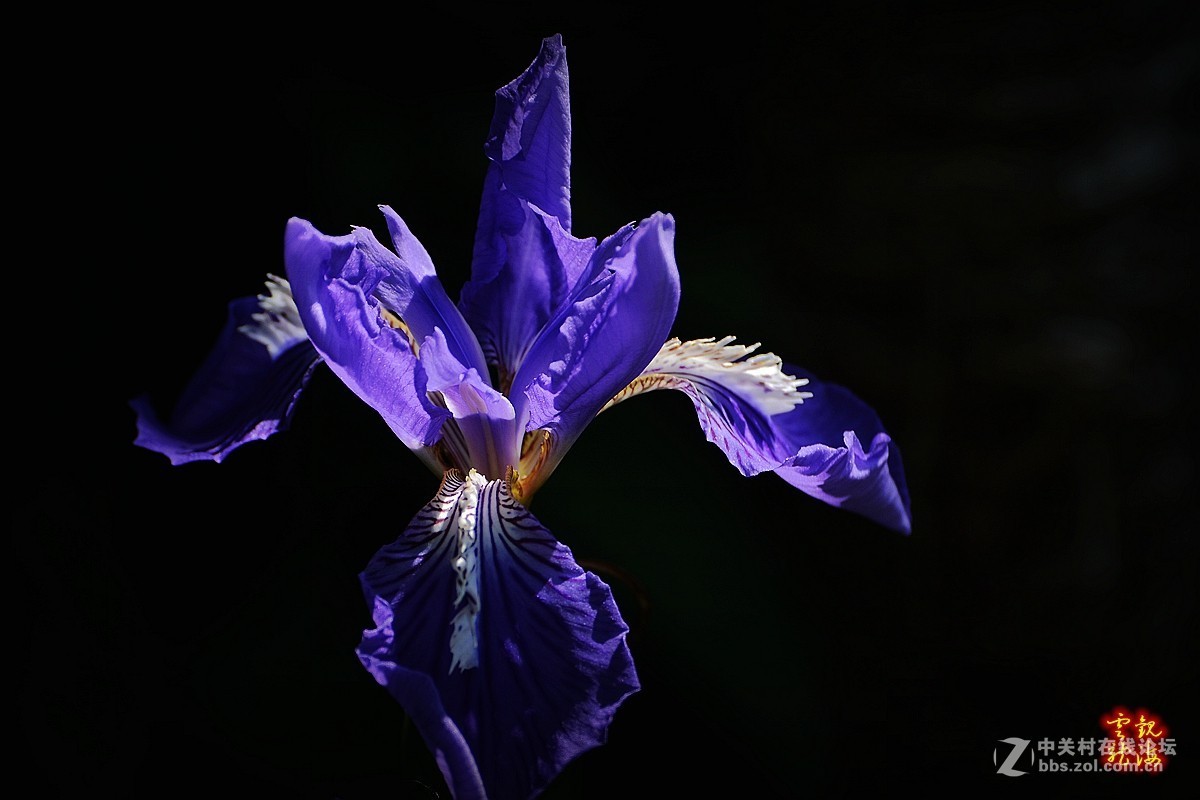 #版主坐堂# [尼康D7100星空(中国)] 2015年5月份优秀精华作品总汇