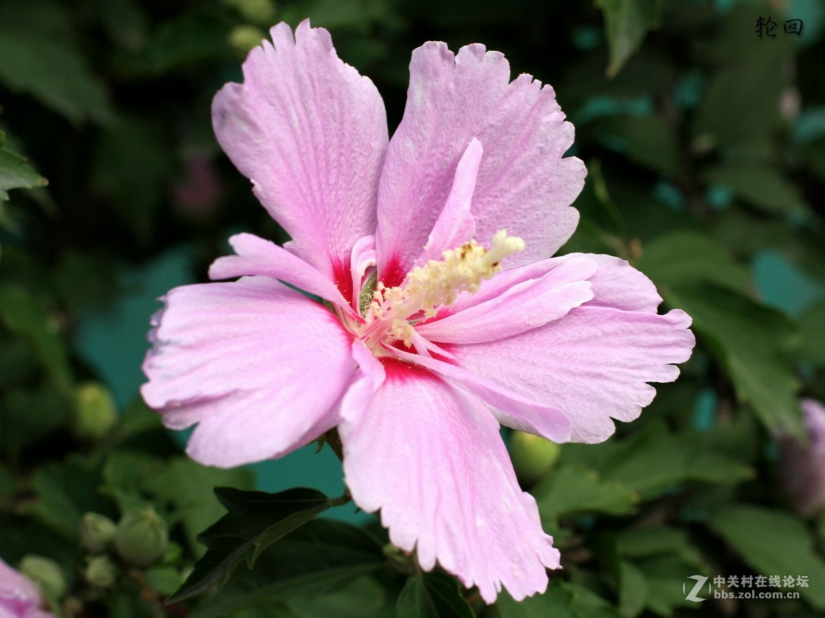 门口随拍。7D