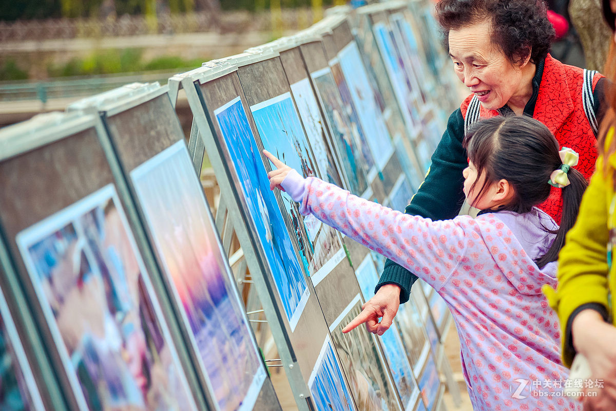 中山公园海鸥影展首日花絮