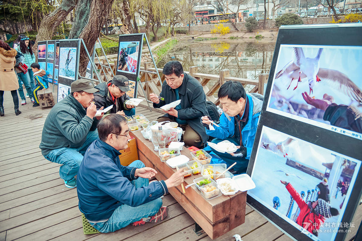 中山公园海鸥影展首日花絮