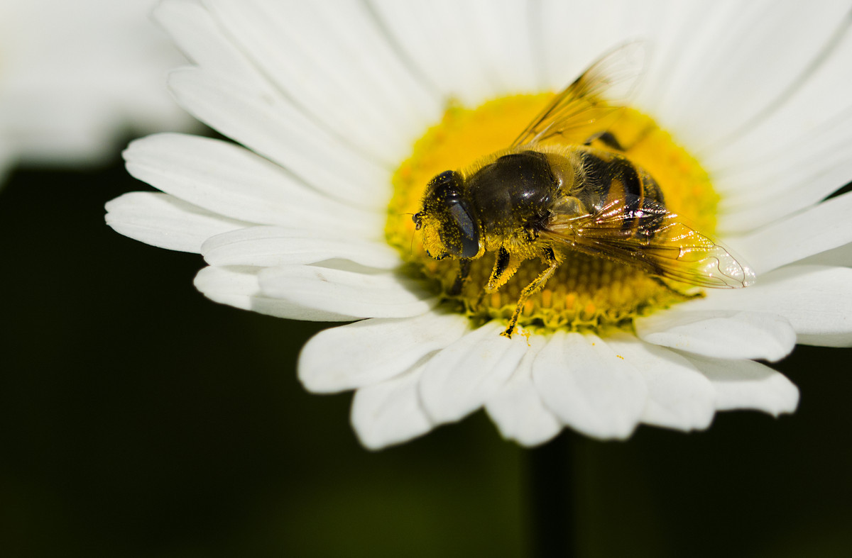 #版主坐堂# [尼康D7100星空(中国)] 2015年5月份优秀精华作品总汇