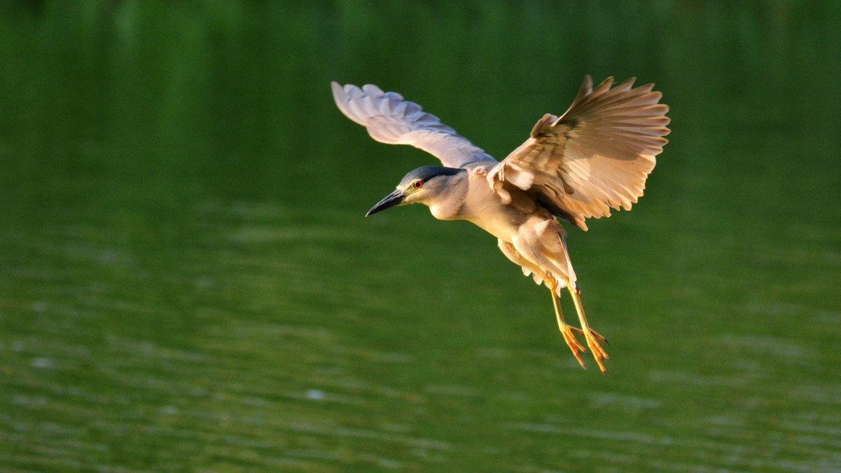 #版主坐堂# [尼康D7100星空(中国)] 2015年5月份优秀精华作品总汇