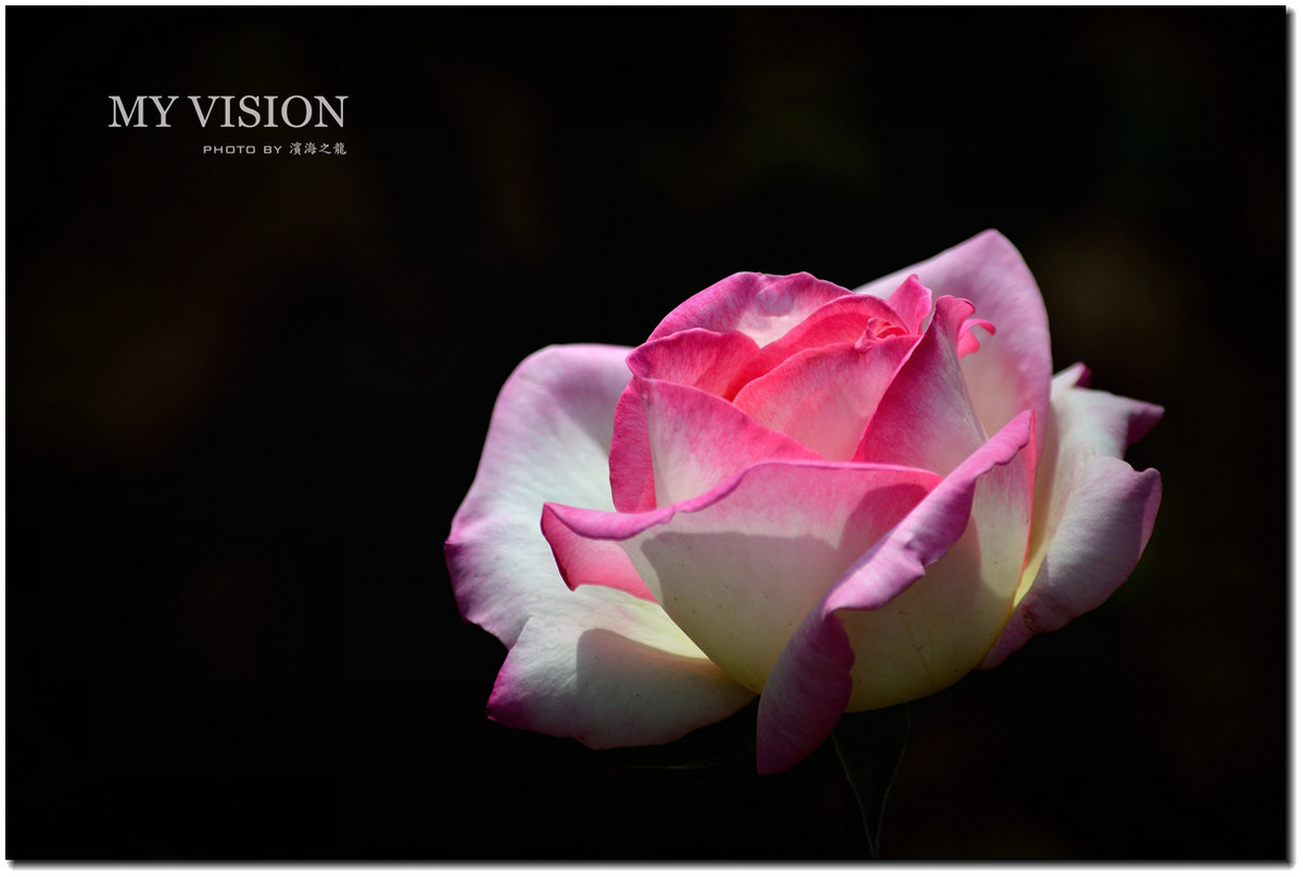 #版主坐堂# [尼康D7100星空(中国)] 2015年5月份优秀精华作品总汇