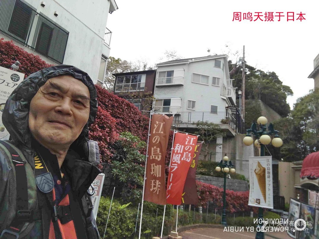 樱花季江之岛摄影游记  周鸣天