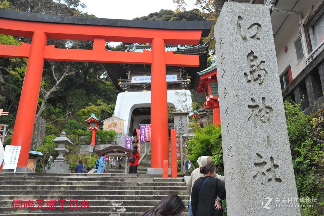 樱花季江之岛摄影游记  周鸣天
