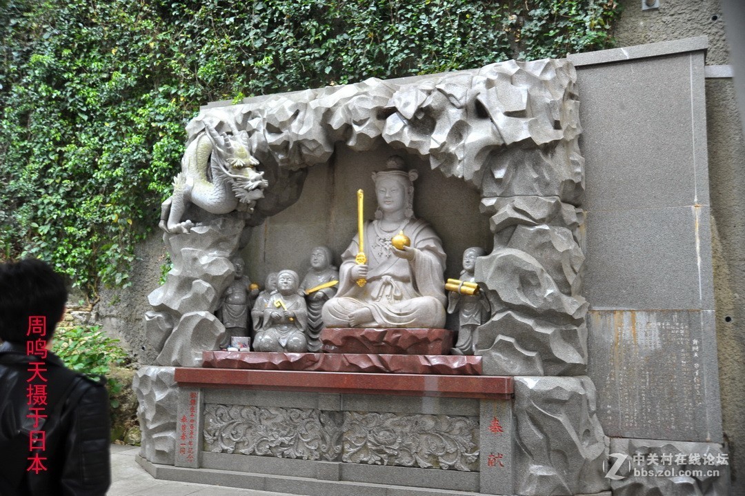 樱花季江之岛摄影游记  周鸣天