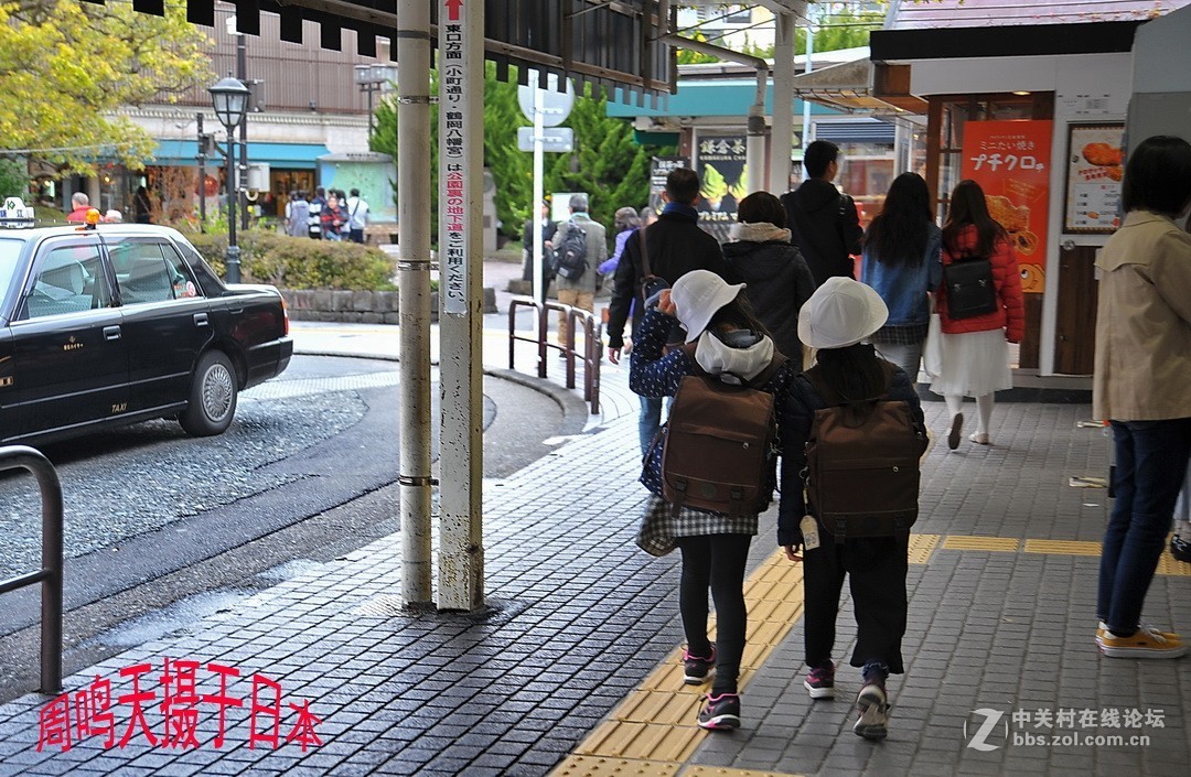 樱花季江之岛摄影游记  周鸣天