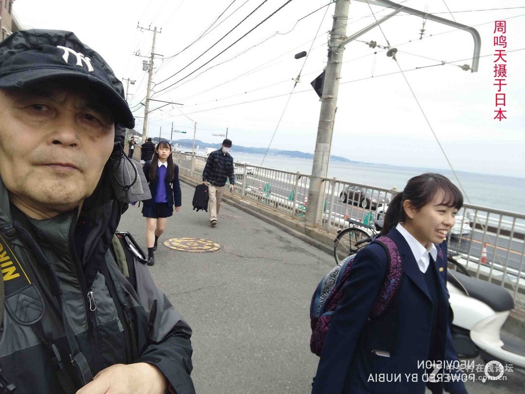 樱花季江之岛摄影游记  周鸣天