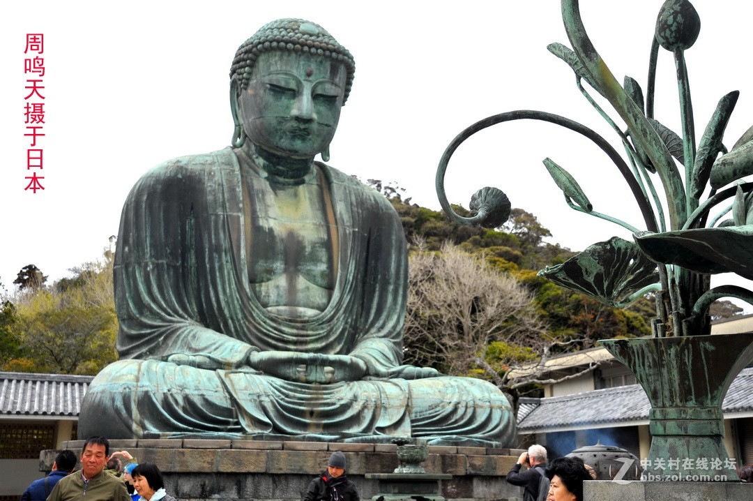 樱花季江之岛摄影游记  周鸣天